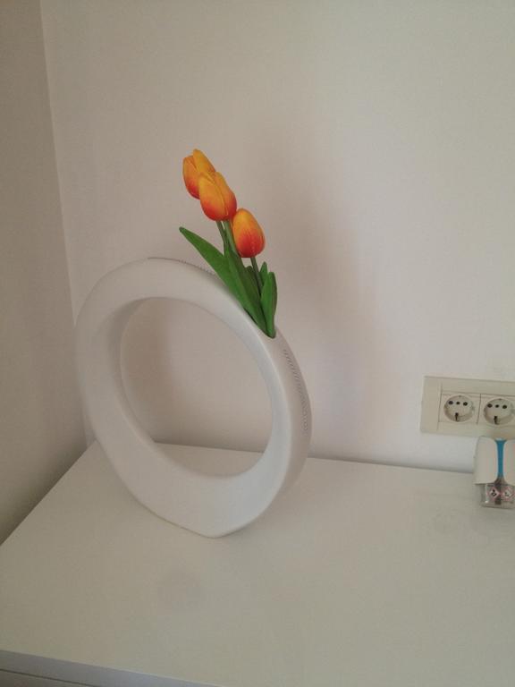 Aria Room And Apartmant Fuga Rovinj Dış mekan fotoğraf